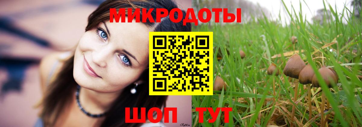 Алексин  Галлюциногенные грибы MAGIC MUSHROOMS  Вход с VPN 
